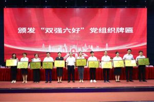 喜报！球友会平台（中国）集团党支部荣获广州市非公有制经济组织“双强六好”党