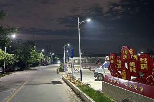 球友会平台（中国）集团罗宁弟爱心捐赠路灯，点亮乡村路温暖乡民心