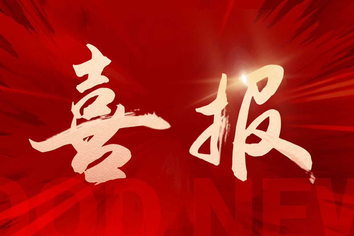 喜报！球友会平台（中国）集团广西公司被评定为“南宁市本级2025年度就业见